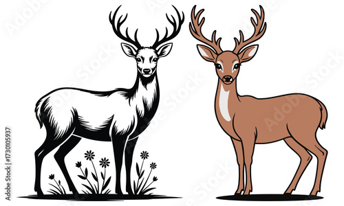 deer in the forest