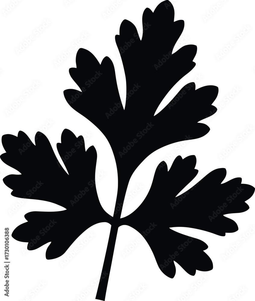 Obraz premium Black parsley leaf vector illustration scalable graphic for herbs and cooking projects