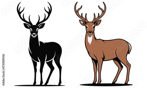 deer vector illustration