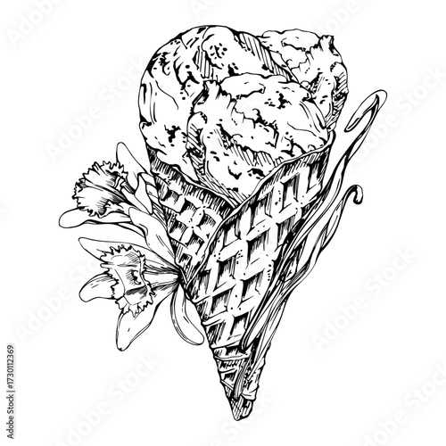 Creme brulee ice cream gelato scoop in waffle cone with vanilla orchid flower and pods. graphic illustration hand drawn in vector ink. Summer treat branding, parlor or gelateria shop, dessert journal