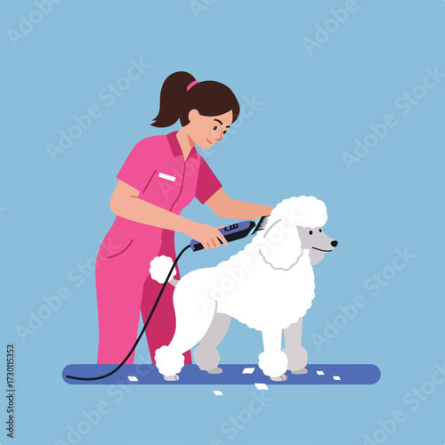 Woman grooming a white poodle with clippers on a blue surface