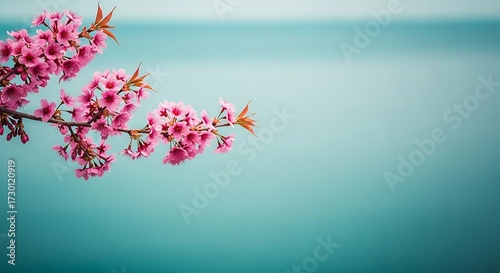 Delicate pink blossoms bring a touch of spring to your designs with this stunning floral background, perfect for adding beauty to any project or creative work