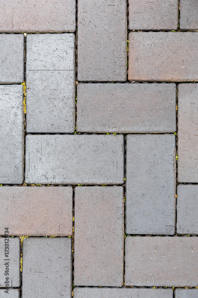Obraz premium Gray paving stones in a rectangular pattern.