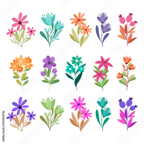 Collection of various colorful botanical illustrations with a white background, featuring flowers