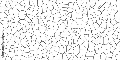 Organic cell-like polygon pattern with sharp black outlines on a stark white background for scientific or abstract graphic design
