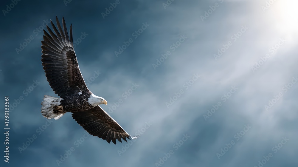 Fototapeta premium Bald eagle flying majestically through a cloudy sunlit sky