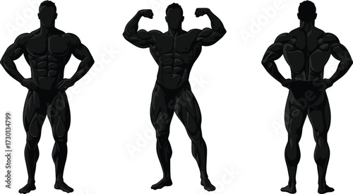 Muscular male bodybuilder illustration, anatomy reference, fitness training, bodybuilding poses, strong physique, flexing muscles, workout art, gym strength, health, power