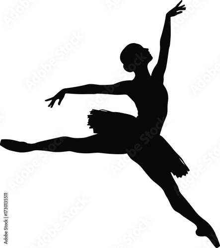 Silhouette of ballet dancer leaping gracefully, ballerina in tutu, elegant dance performance, classical ballet art, athletic movement, stage performance, beauty, grace