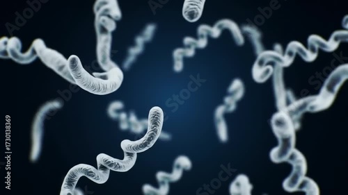 Spiraling microbe organisms float in dark blue void