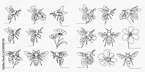 A collection of honeybees and flowers drawn in a continuous single line art style, showing insects pollinating blossoms.