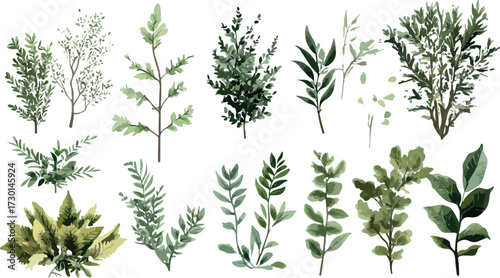 Collection of various green tropical and houseplant leaves and stems on white background