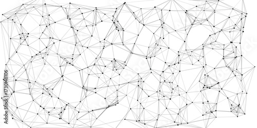 Intricate web of connected black nodes and fine gray lines creating a sophisticated geometric network structure with organic voids on a white background symbolizing digital pathways