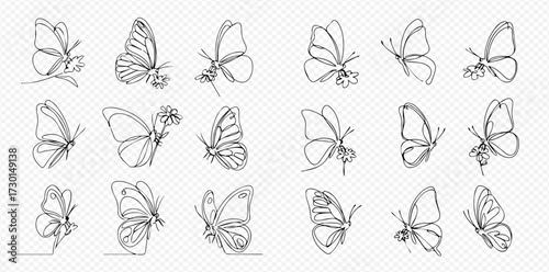 A collection of beautiful butterflies and flowers drawn in a minimalist, continuous single line art style.