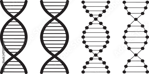 Vector illustration of a 3D DNA helix on a white background for science and molecular research in genetics and biotechnology