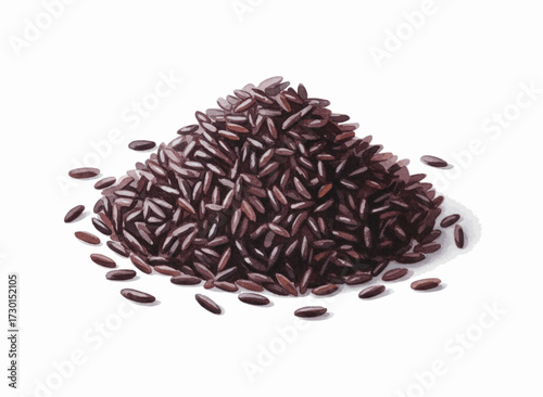 Grain of Amethyst Riceberry isolated watercolor vector illustration svg