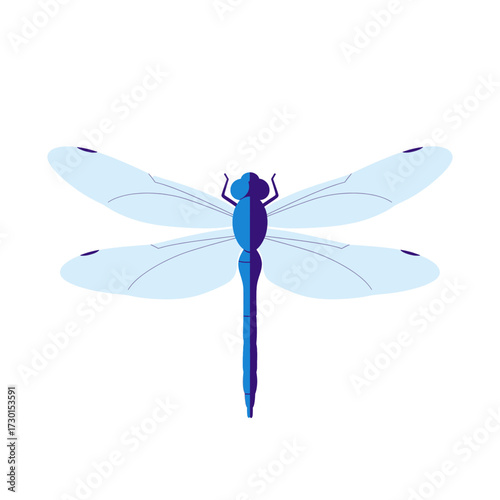 A stylized illustration of a vibrant blue dragonfly with outstretched wings, isolated on white.