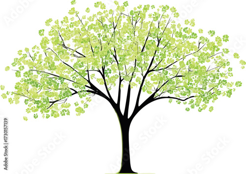 Vibrant spring tree with lush green foliage and strong branches against white background