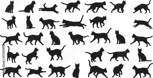 Black cat silhouettes collection, multiple feline poses, walking sitting running jumping, domestic pet animal vector artwork, isolated outline design set