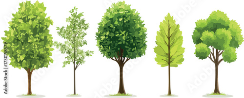 Collection of five diverse green leafy trees standing in a row on white background