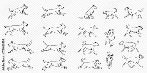 A hand-drawn sprite sheet featuring a dog's running animation cycle and various other poses like walking, sitting, and lying down.