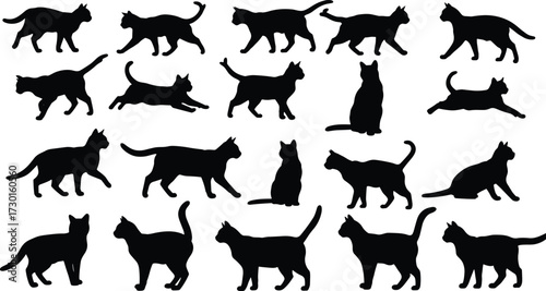 Black cat silhouettes walking, sitting, running, jumping poses, domestic feline vector illustration, pet animal design, halloween decoration artwork isolated
