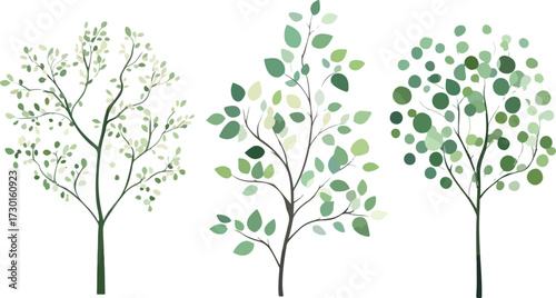 Three stylized trees with delicate branches and varying green foliage against a white background