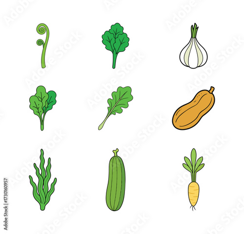 9 set of vegetables