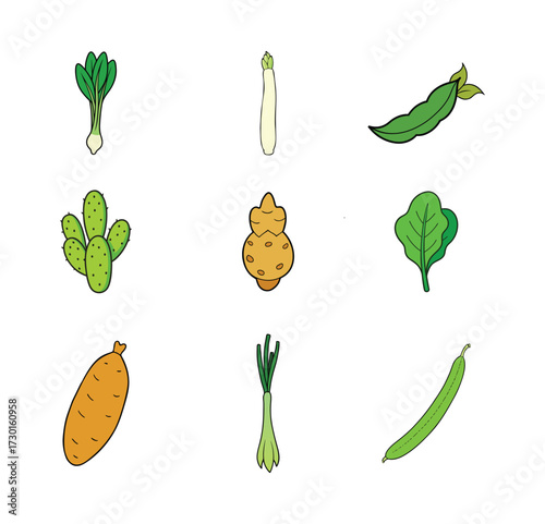 9 set of vegetables