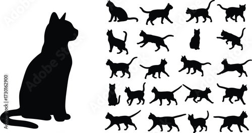 Black cat silhouettes collection, multiple feline poses, sitting walking running cats vector illustration, isolated pet animal design shapes for artwork and decoration