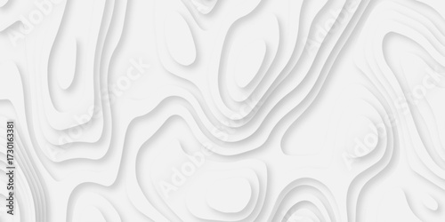 Abstract white paper cut background with lines. Background of the topographic map. White wave paper curved reliefs abstract background. Realistic papercut decoration textured with wavy layers.	