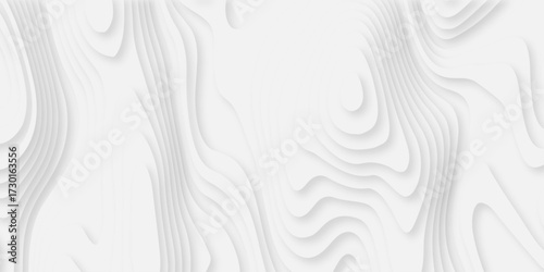 Abstract white paper cut background with lines. Background of the topographic map. White wave paper curved reliefs abstract background. Realistic papercut decoration textured with wavy layers.	