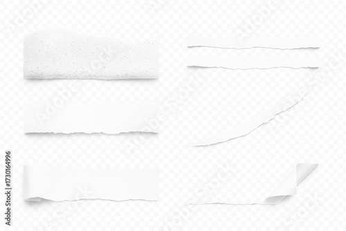 Torn blank sheet set with paper curl, note card, and shadow template vector illustration