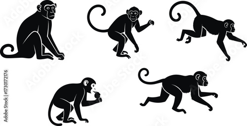 PrintMonkey silhouette collection, animal poses, wildlife illustration, primate behavior, black outline art, jungle theme, educational design, vector graphic, nature concept, isolated background