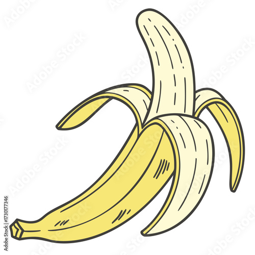 Banana illustration. Peeled banana fruit drawing isolated on a white background. Sweet tropical food, healthy vegetarian snack.