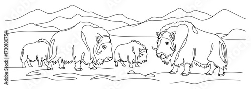 Muskox Family Herd in a Mountain Landscape One Line Art