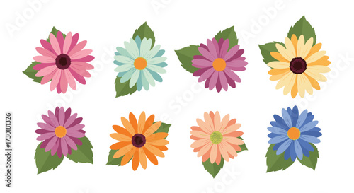 A collection of colorful daisy like flowers with green leaves in a scattered arrangement for decorative purposes.