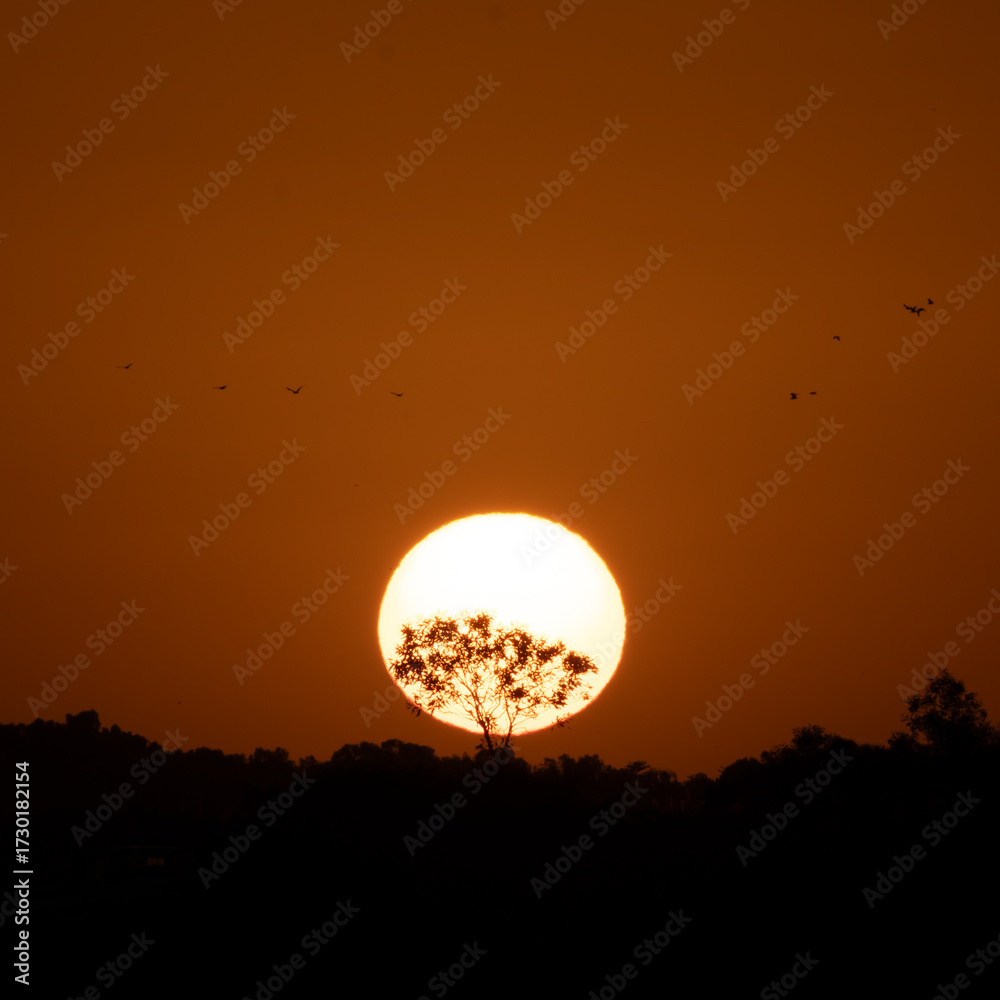 Obraz premium Golden Sunset Over Silhouetted Landscape With A Lone Tree At Dusk