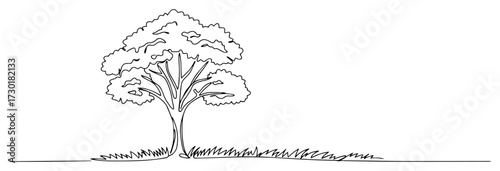 Single Continuous Line Drawing of a Leafy Tree