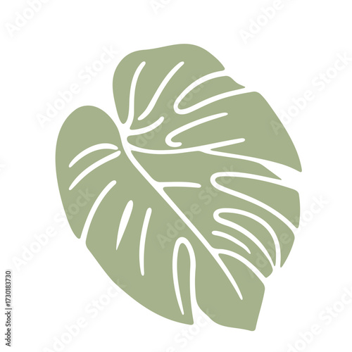 Monstera leaf illustration vector graphic design for tropical plant and nature themed projects use image
