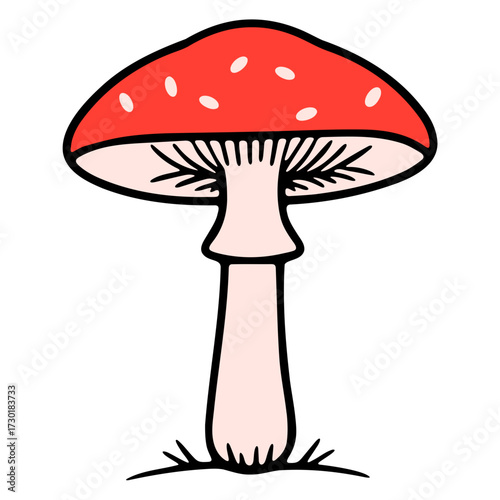 Illustration of a red mushroom with white spots,  perfect for nature and forest themed designs