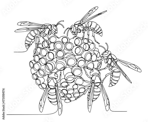 One Line Art of Wasps Building a Nest Together as a Colony
