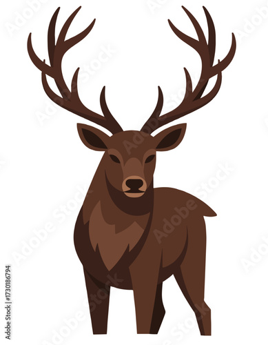 Majestic Stag Deer Front View Wildlife Animal
