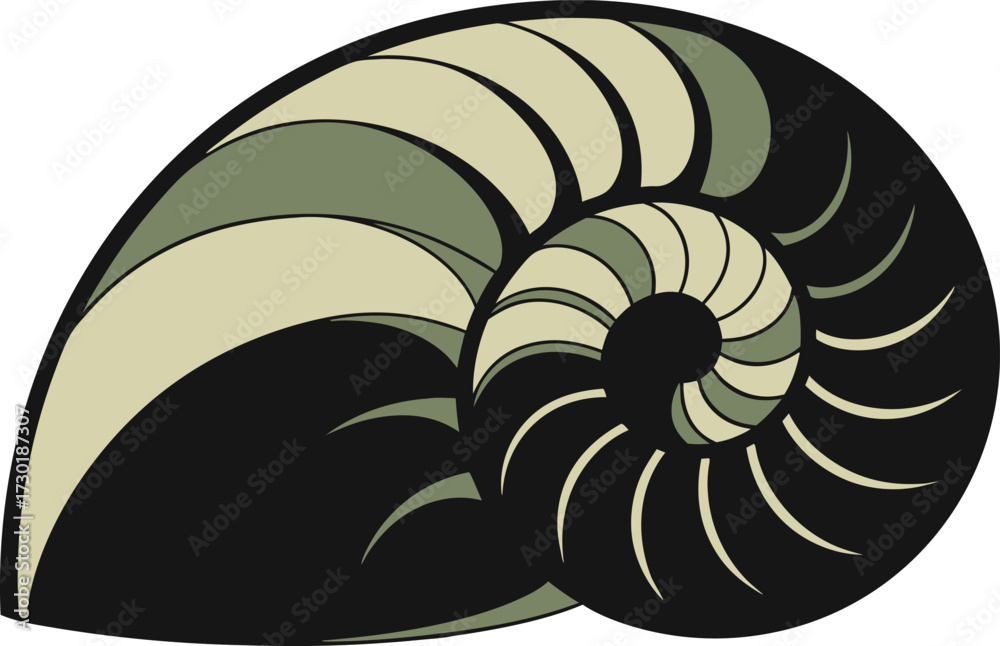Obraz premium Stylized Nautilus Shell Illustration