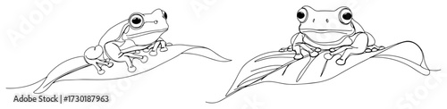 Continuous Line Drawing of Two Frogs Sitting on a Leaf