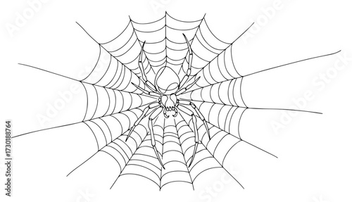 Spider in The Center of a Web in Continuous Line Art Style