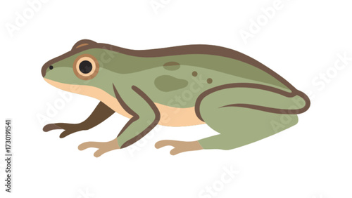 Illustration of a light green frog with brown accents sitting in profile on a white background