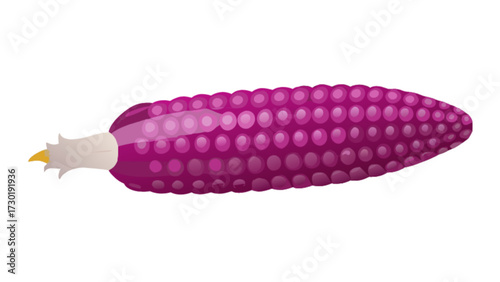 Illustration of a vibrant purple corn cob with visible kernels and husk on a plain white background