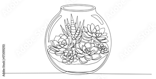 Succulent Plant Terrarium in a Glass Bowl One Line Art