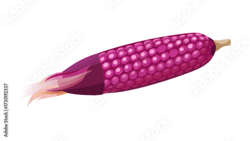 Illustration of a purple corn cob with exposed kernels and silk on a white background in vector art