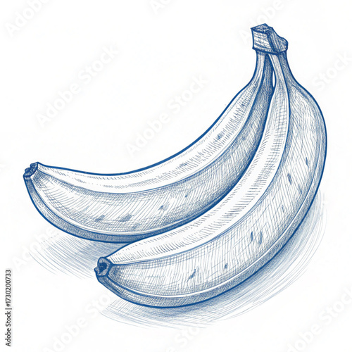 “Hand-Drawn Blue Line Art Fruit Illustrations Set – Bananas, Berries, Citrus, Grapes, Pineapple & More”
